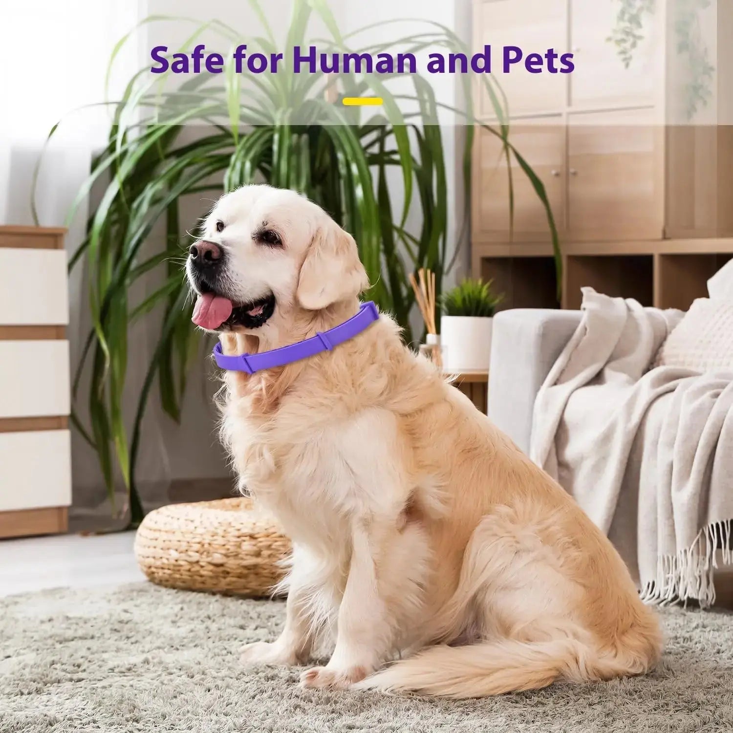 Pet Calming Anxiety Adjustable Collars - Pawthrive