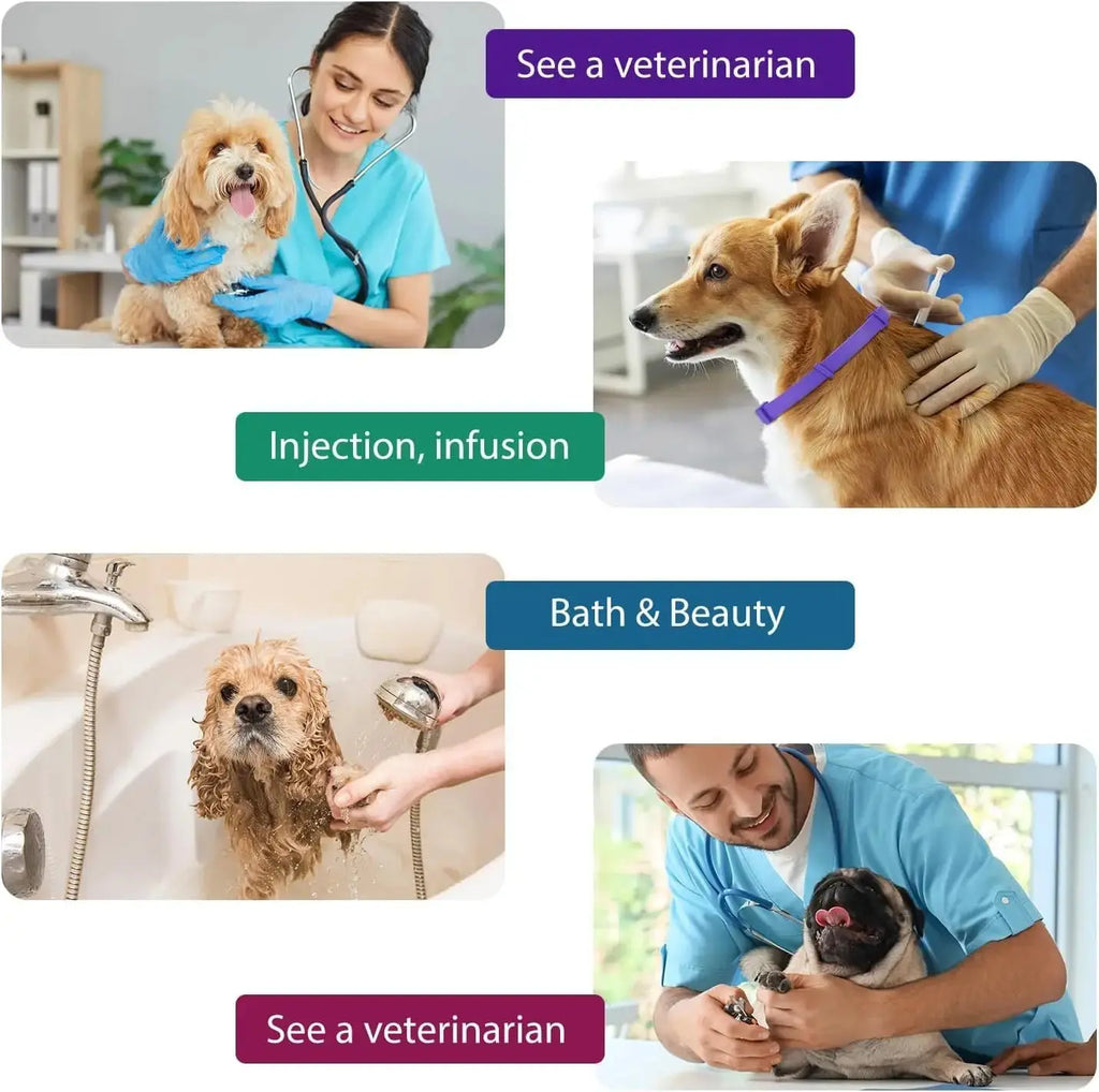 Pet Calming Anxiety Adjustable Collars - Pawthrive