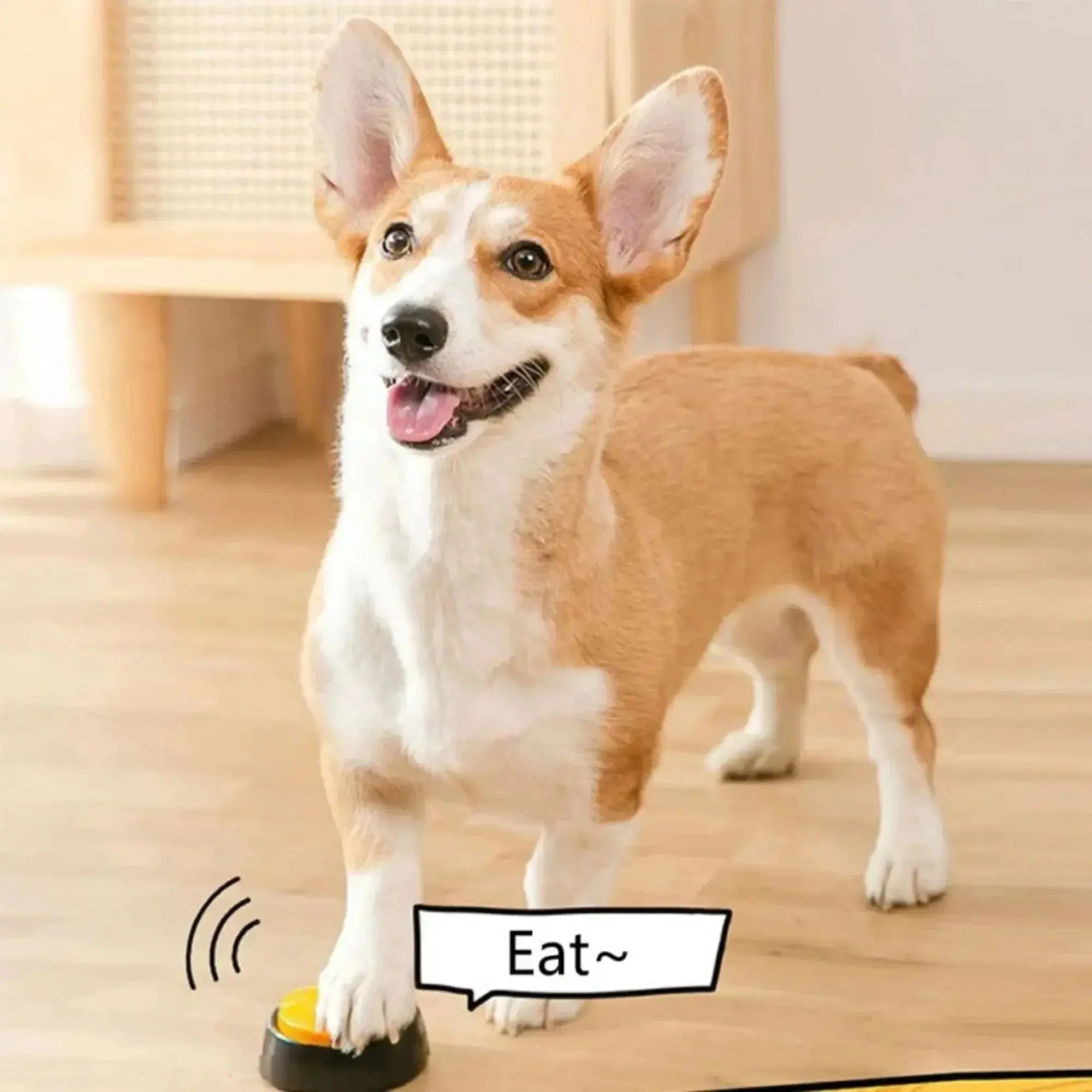 Dog Voice Recording Training Buttons - Pawthrive