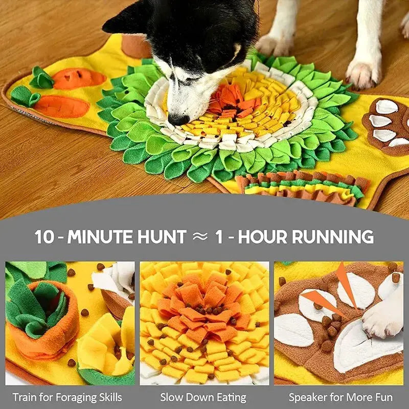 Dog Educational Interactive Mat - Pawthrive