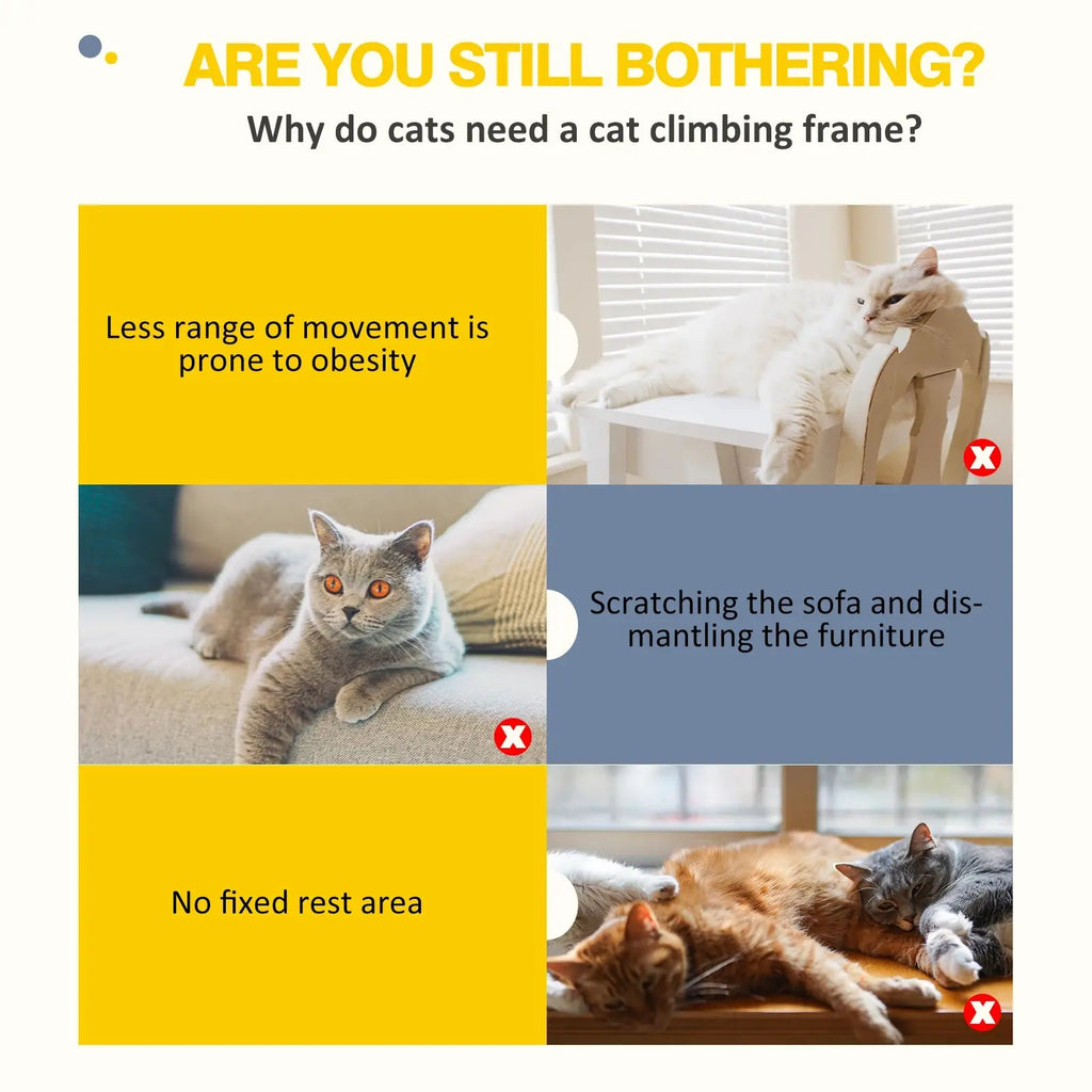 Multi-Level Cat Climbing Trees - Pawthrive
