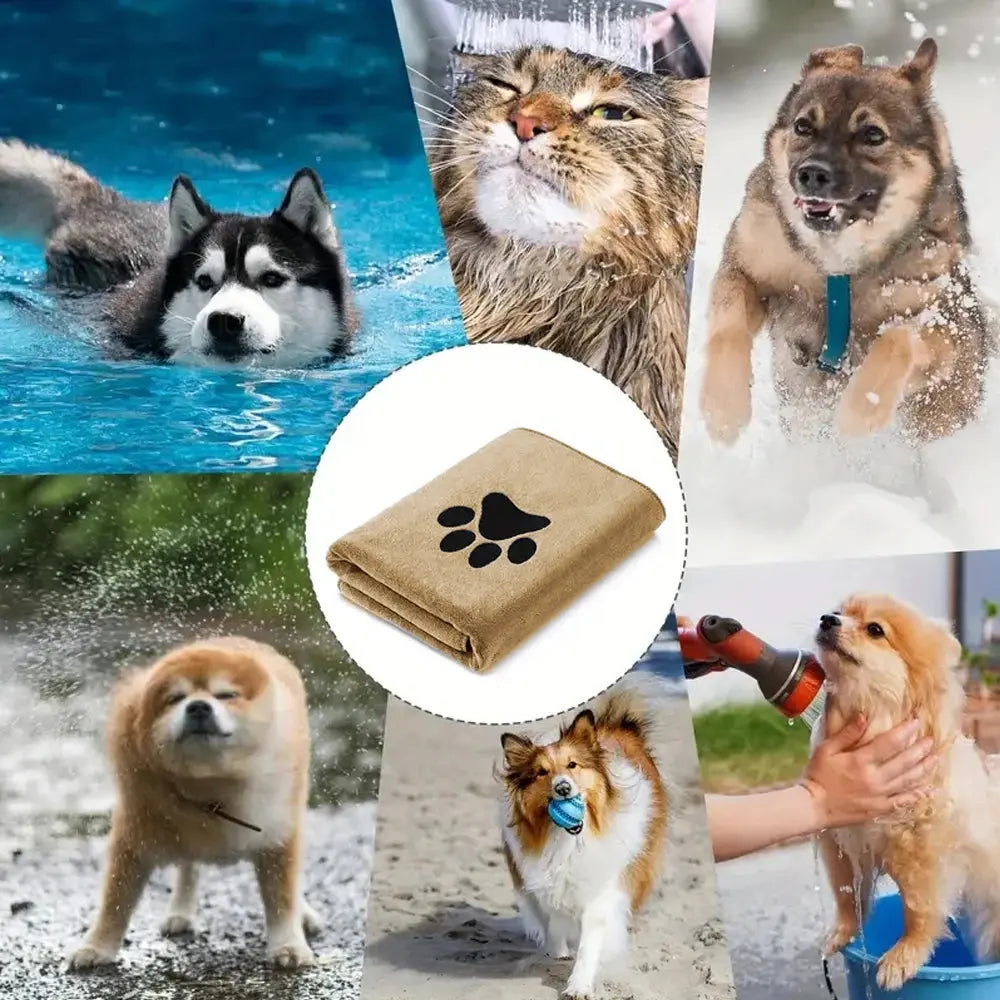 Quick Dry Bath & Grooming Pet Towels - Pawthrive