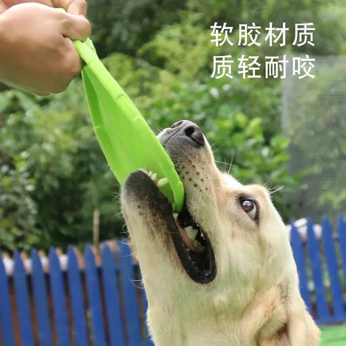Bite-Resistant Dogs Training Disc - Pawthrive