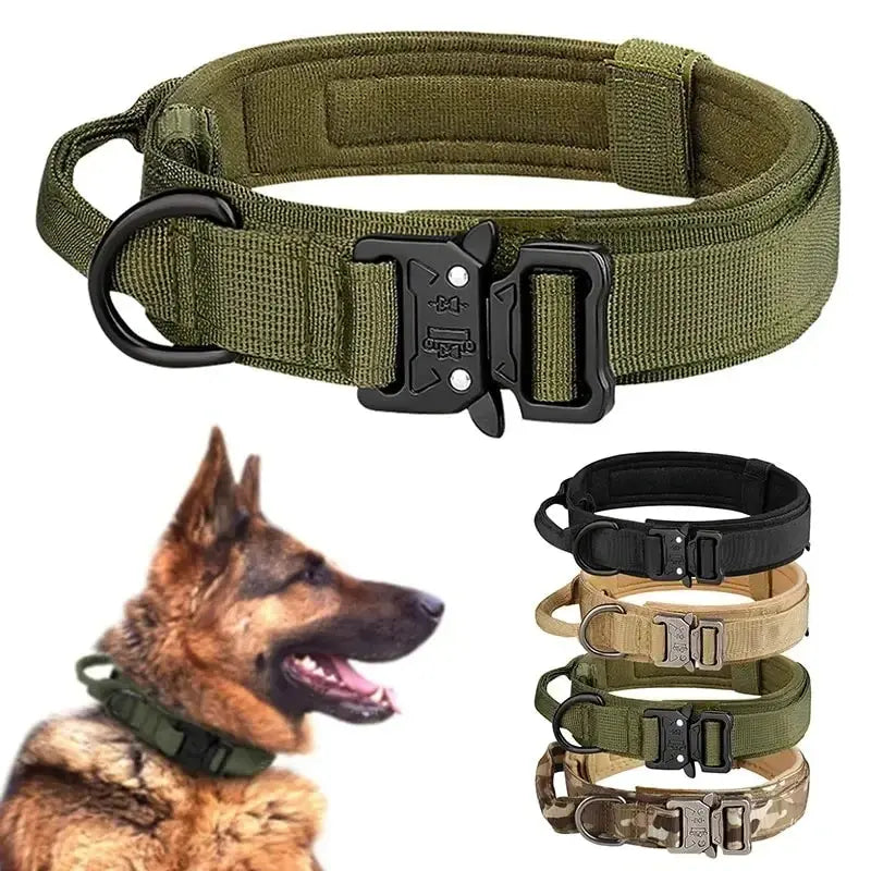 Metal Buckle Tactical Dog Collar - Pawthrive