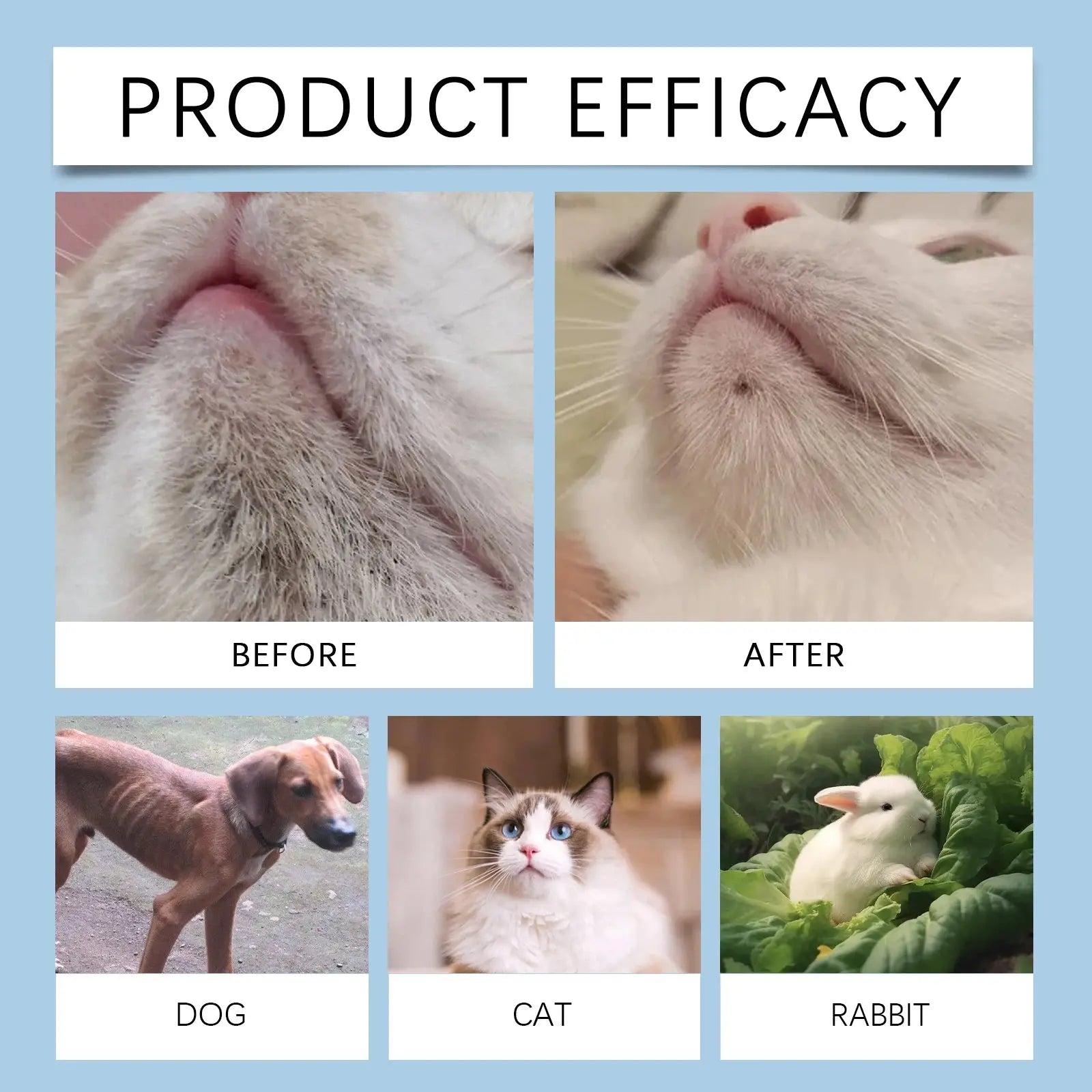 Pet Dental Care Kit - Pawthrive