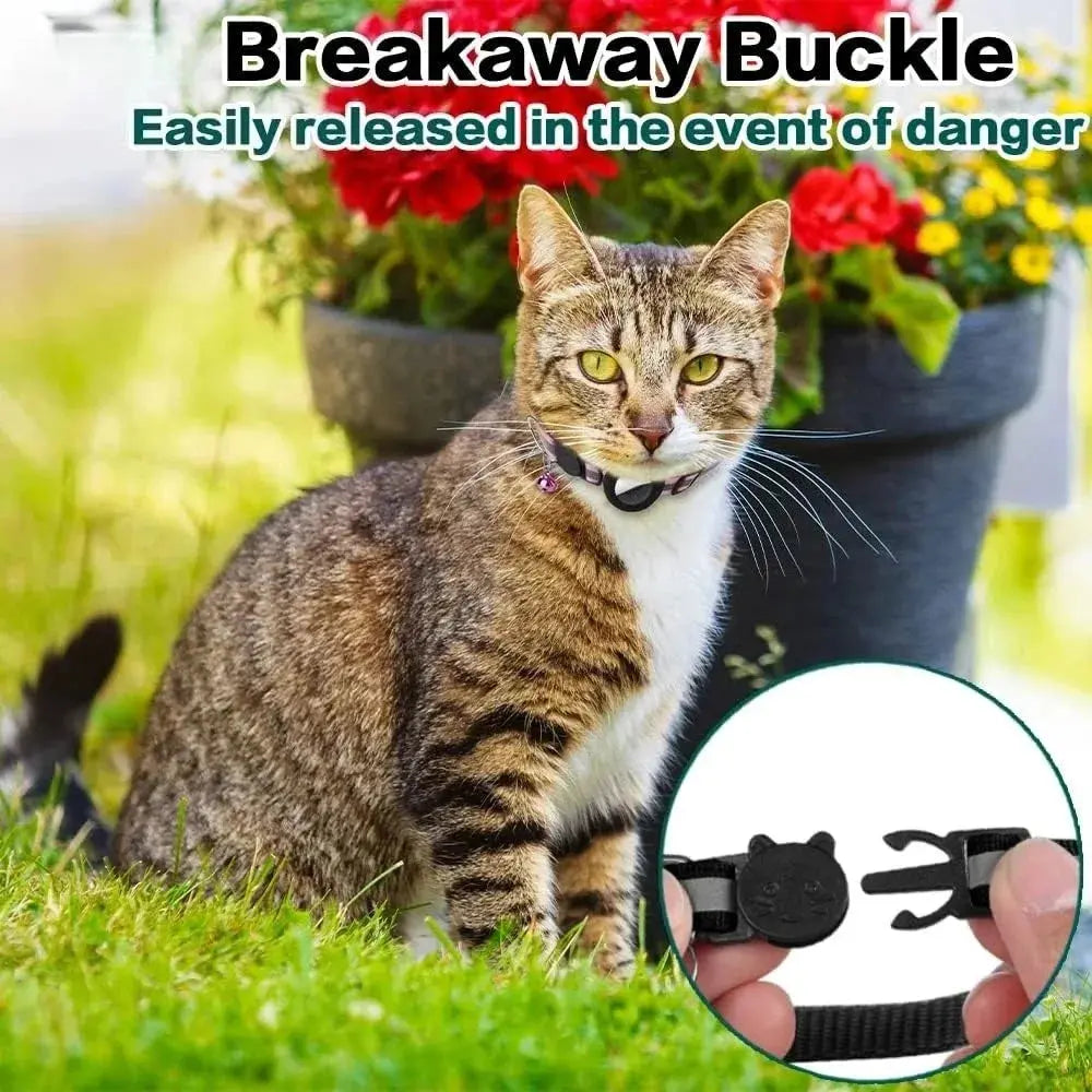 Reflective Airtag Kitten Collar - Pawthrive