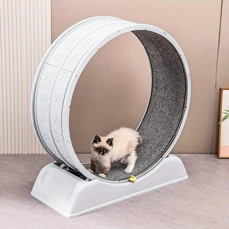Ultra-Quiet Cat Running Exercise Wheel - Pawthrive