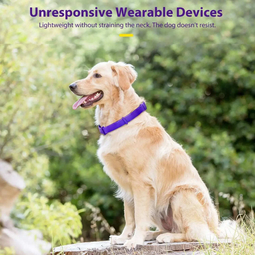 Pet Calming Anxiety Adjustable Collars - Pawthrive