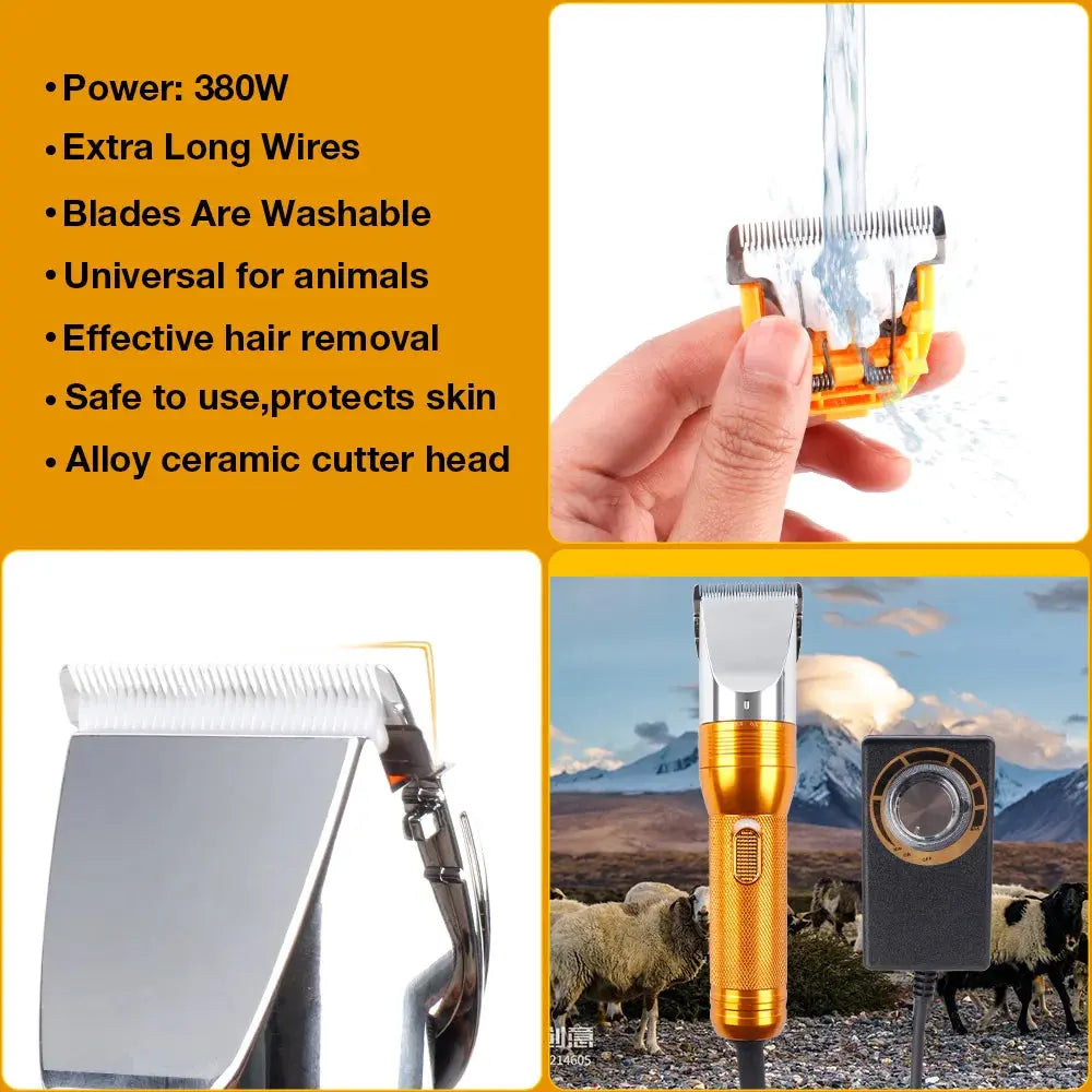 Professional Grooming Pet Hair Trimmer Kit - Pawthrive
