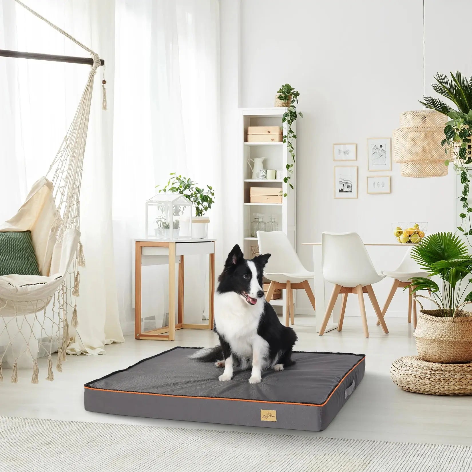 Orthopedic Foam Cushion Bed - Pawthrive