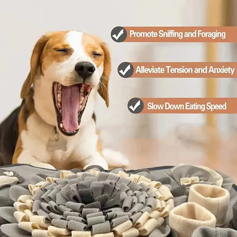 Dog Educational Interactive Mat - Pawthrive