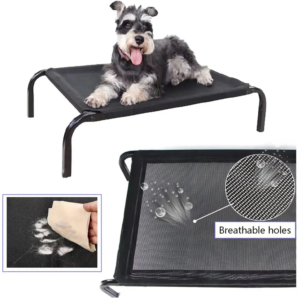 Non-Slip Breathable Elevated Dog Bed - Pawthrive