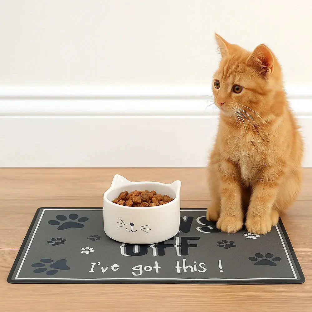 Non-slip Silicone Pet Feeding Mat - Pawthrive