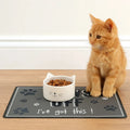 Non-slip Silicone Pet Feeding Mat - Pawthrive