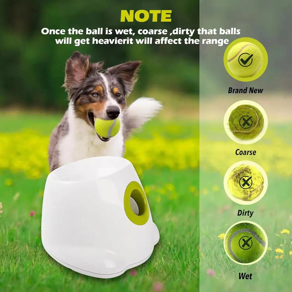 Tennis Ball Launcher Toy - Pawthrive