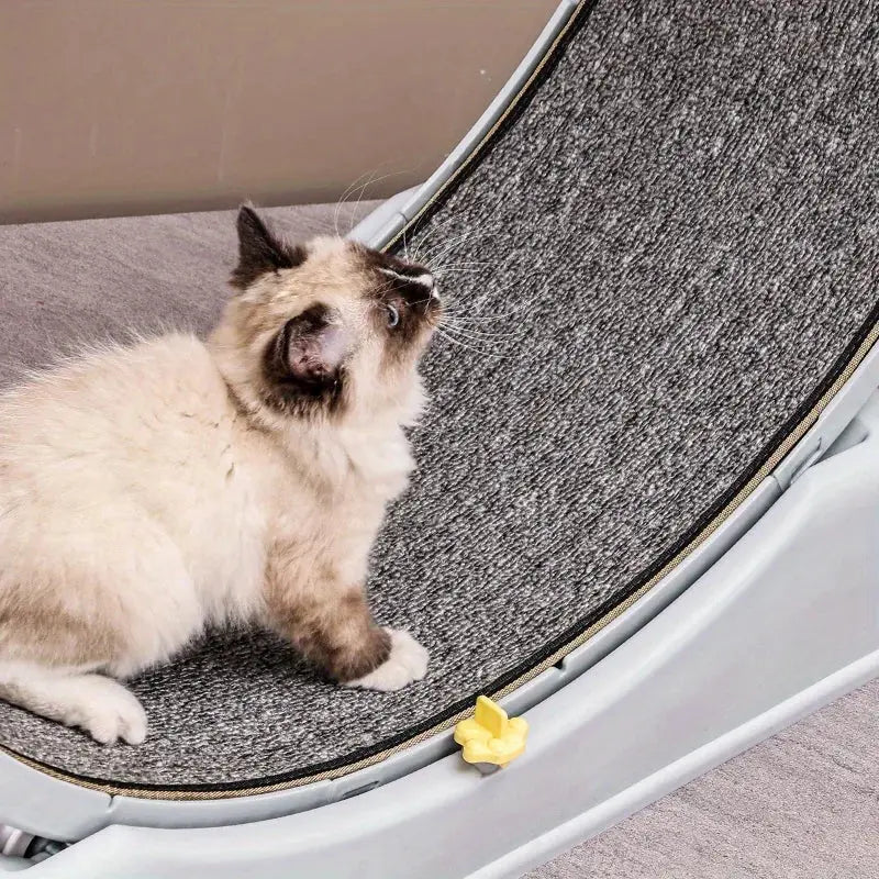 Ultra-Quiet Cat Running Exercise Wheel - Pawthrive