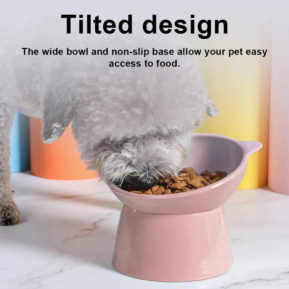 Anti-Vomiting Ergonomic Raised Cat Bowl - Pawthrive