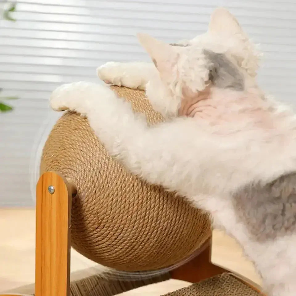 2 In1 Cat Grinding Paw Toy - Pawthrive