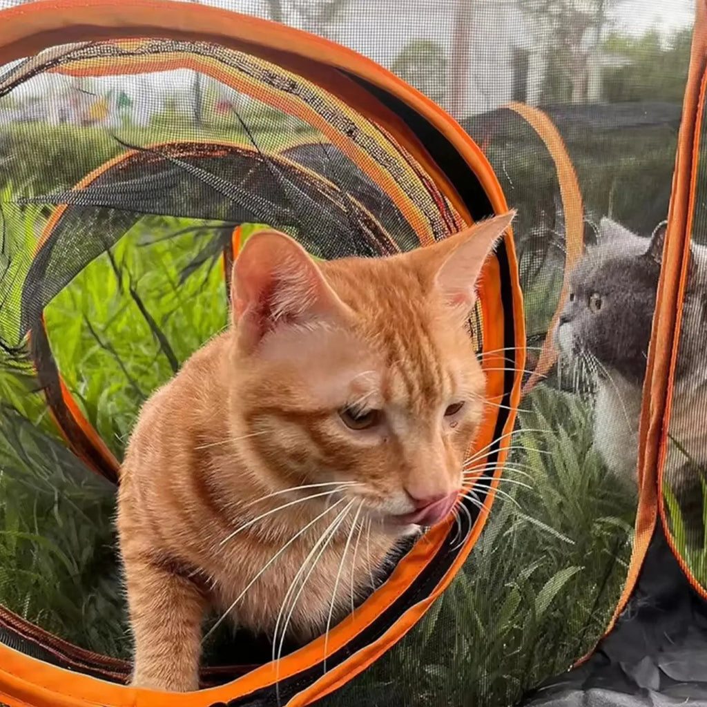 2-in-1 Foldable Pet Tunnel - Pawthrive