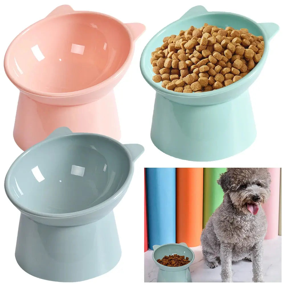 Anti-Vomiting Ergonomic Raised Cat Bowl - Pawthrive