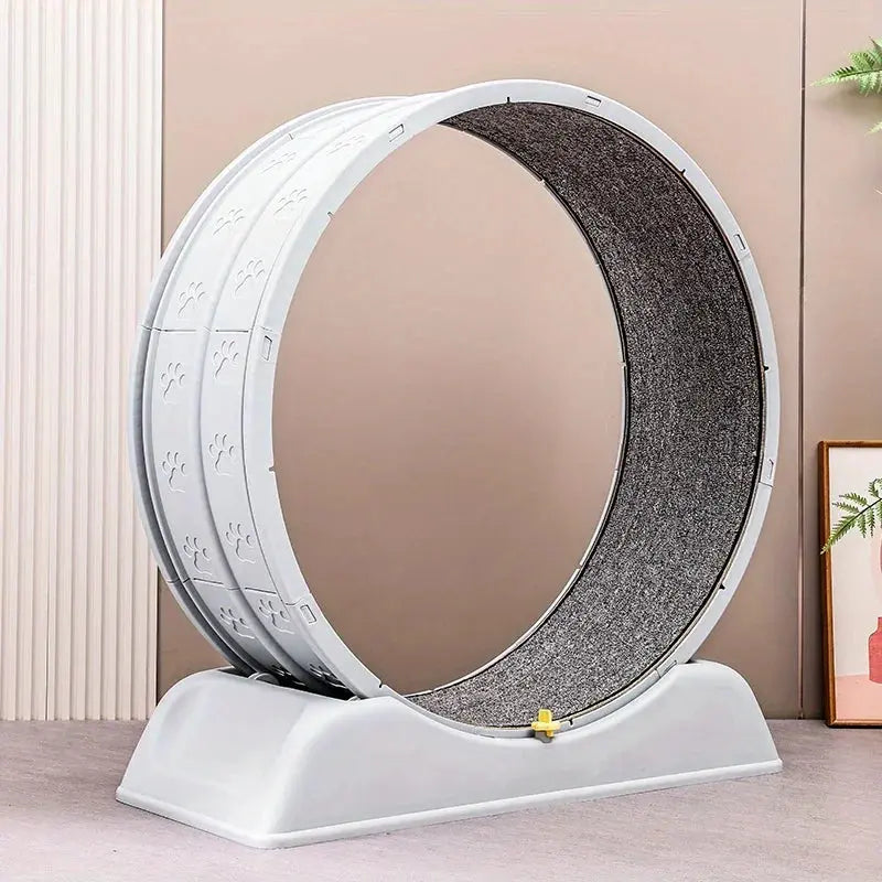 Ultra-Quiet Cat Running Exercise Wheel - Pawthrive