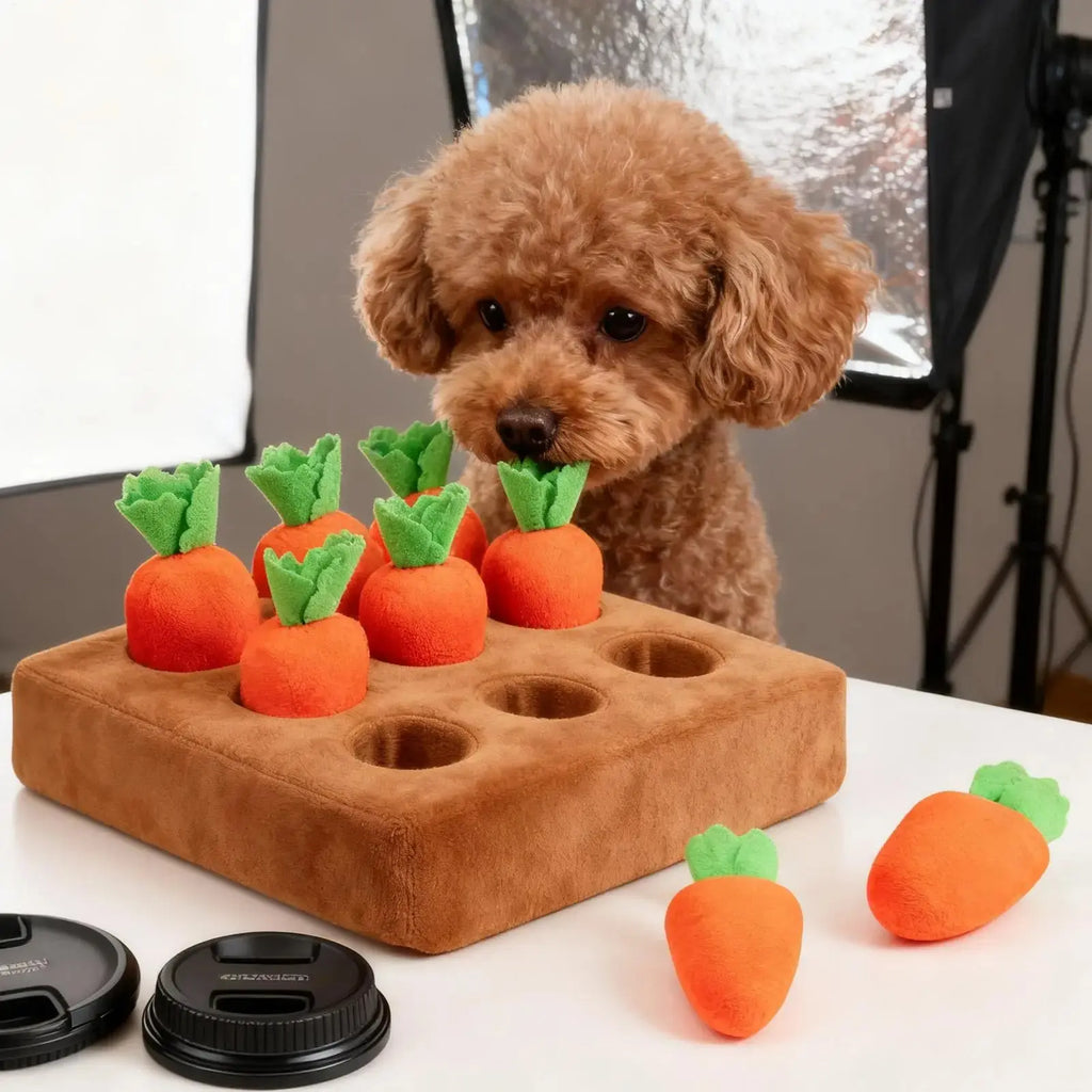 Carrot Snuffle Interactive Mat - Pawthrive