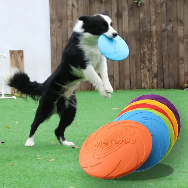 Bite-Resistant Dogs Training Disc - Pawthrive