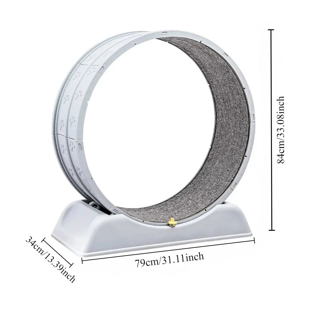 Ultra-Quiet Cat Running Exercise Wheel - Pawthrive